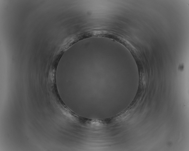 X0000090950475200708161759