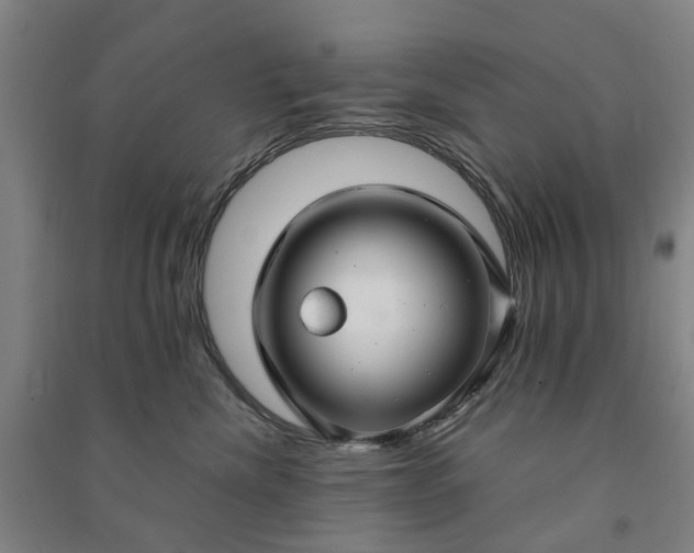 X0000090950476200708161759