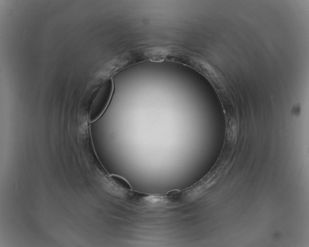 X0000090950477200708161759