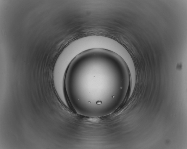 X0000090950478200708161759