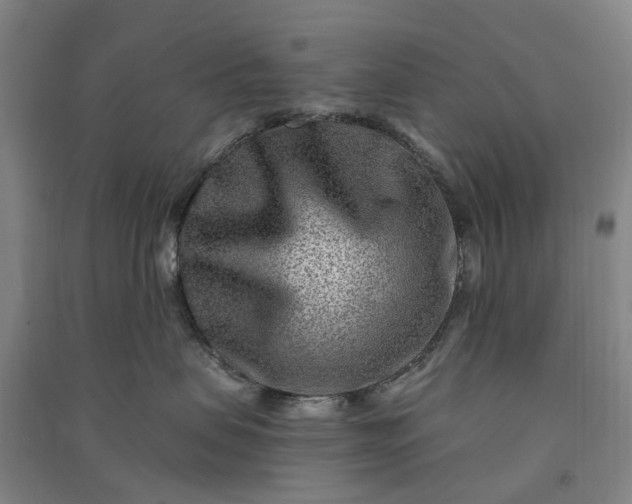 X0000090950479200708161759