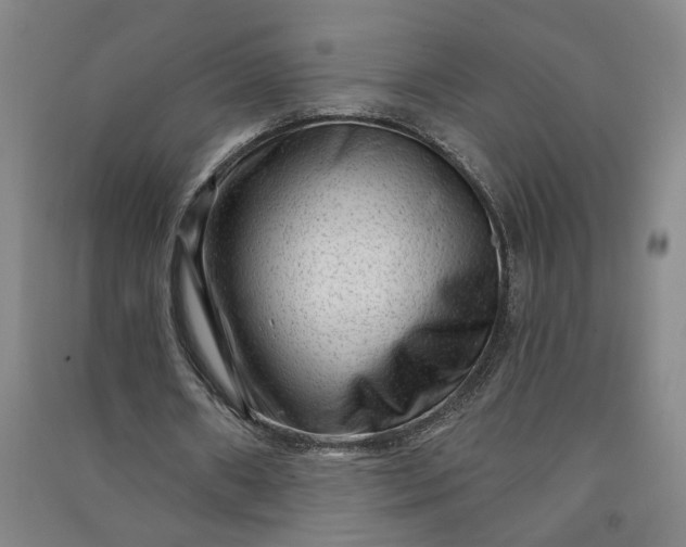 X0000090950482200708161759