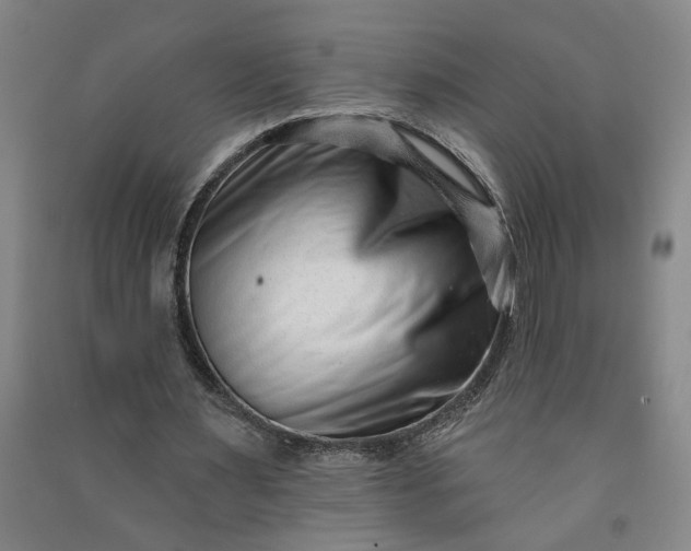 X0000090950483200708161759