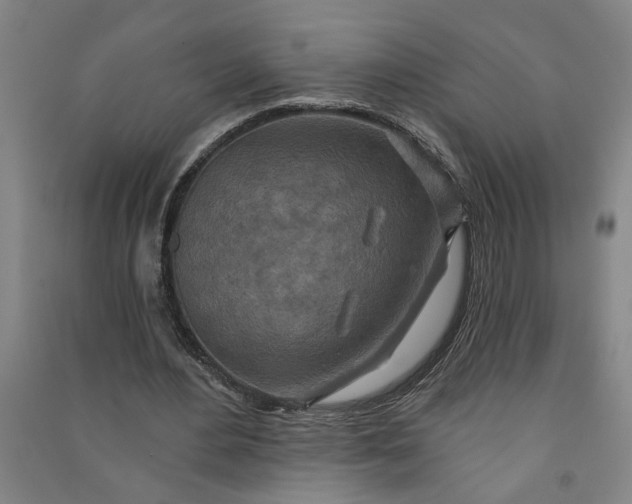 X0000090950484200708161759