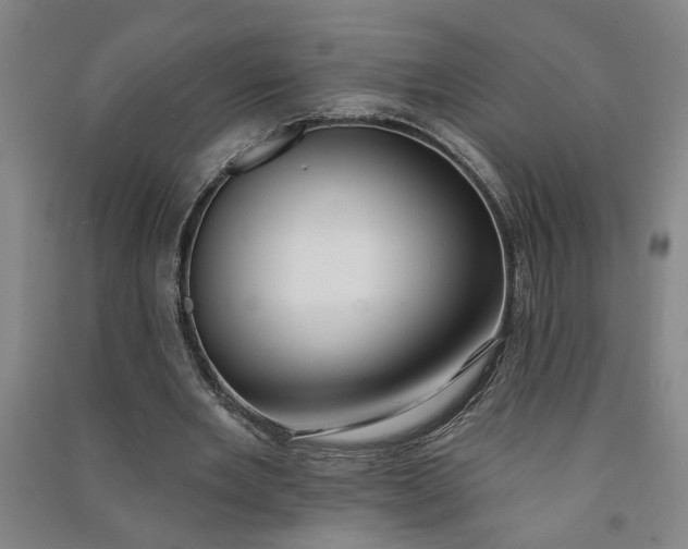 X0000090950485200708161759