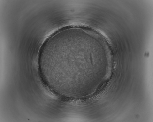 X0000090950488200708161759