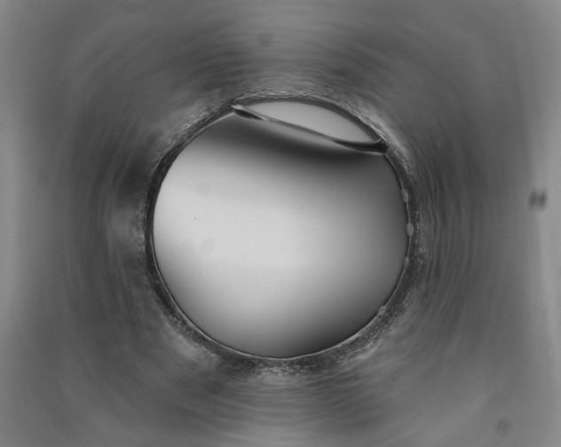X0000090950489200708161759