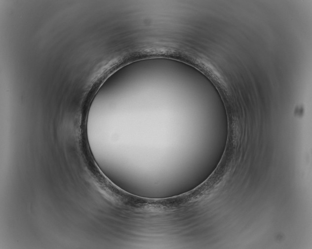 X0000090950490200708161759