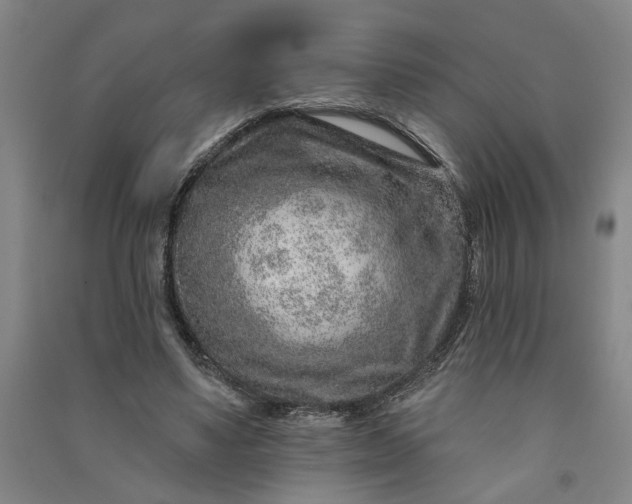 X0000090950491200708161759