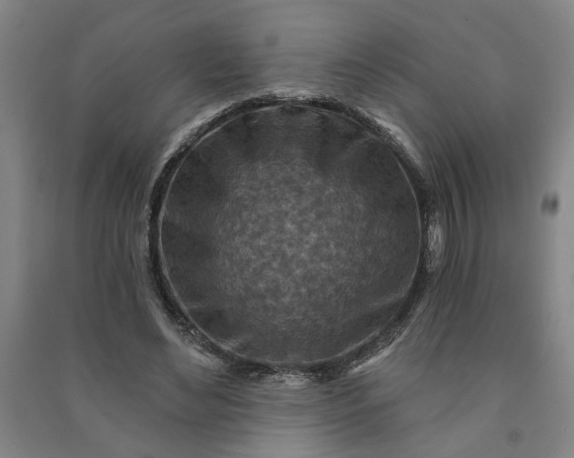 X0000090950492200708161759