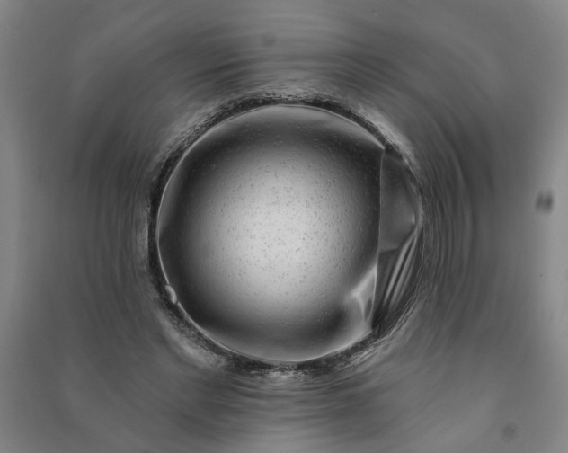 X0000090950493200708161759