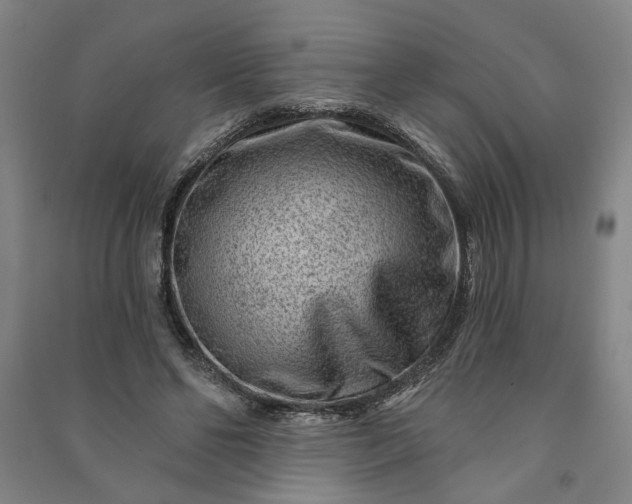 X0000090950494200708161759