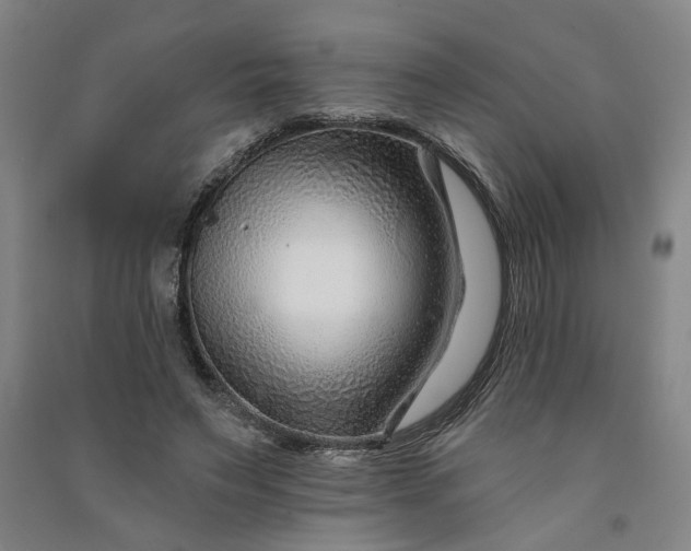 X0000090950495200708161759
