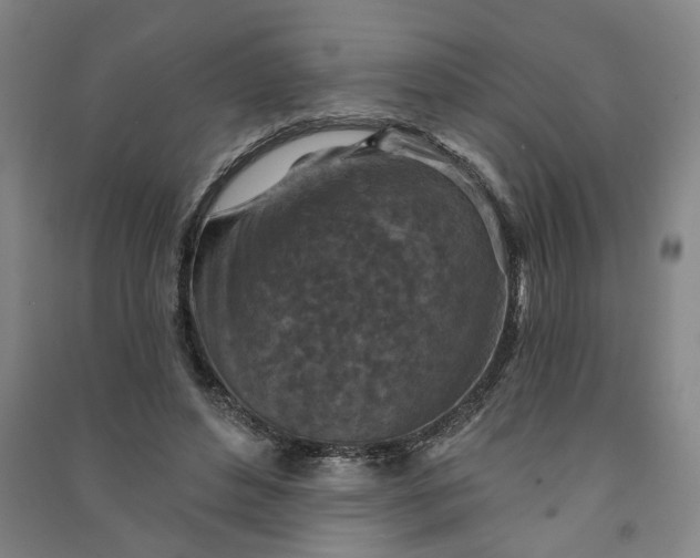 X0000090950496200708161759