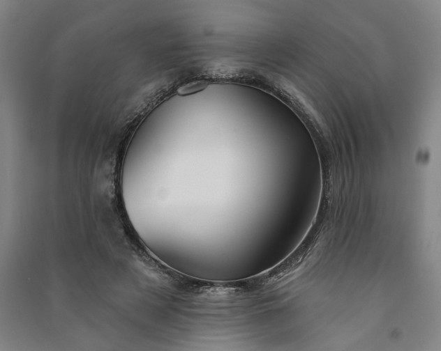 X0000090950497200708161759