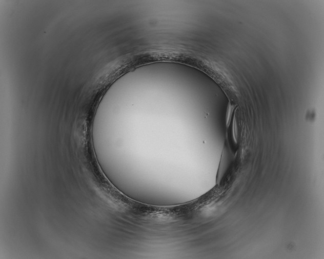 X0000090950498200708161759