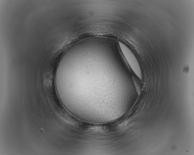 X0000090950499200708161759
