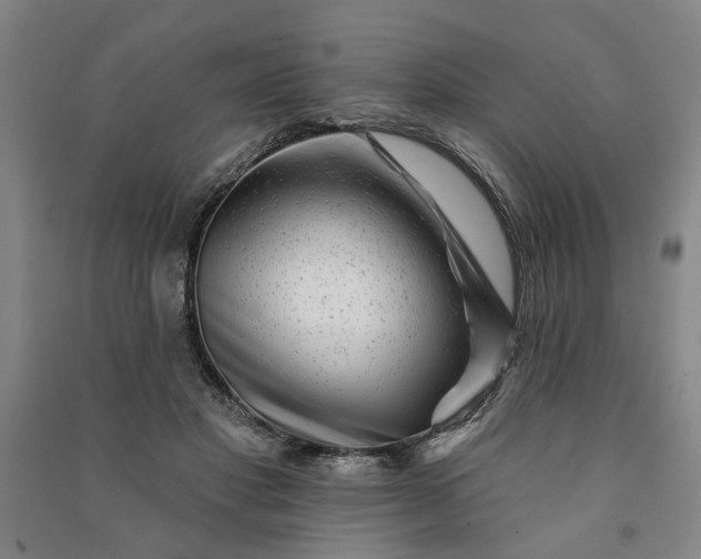 X0000090950501200708161759