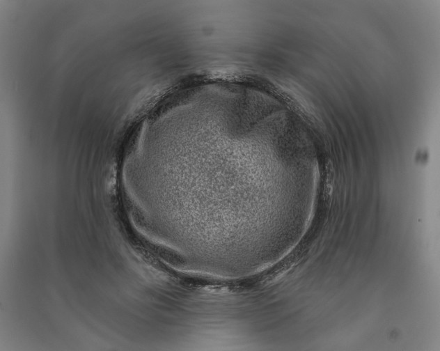X0000090950502200708161759