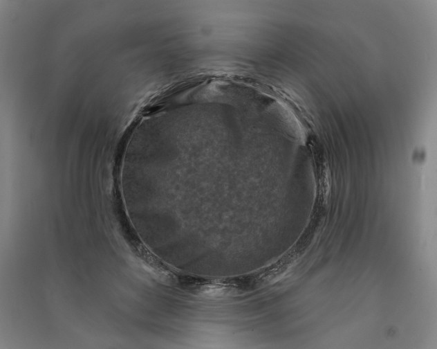 X0000090950504200708161758