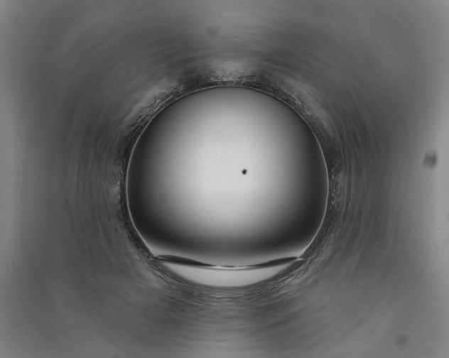 X0000090950505200708161758