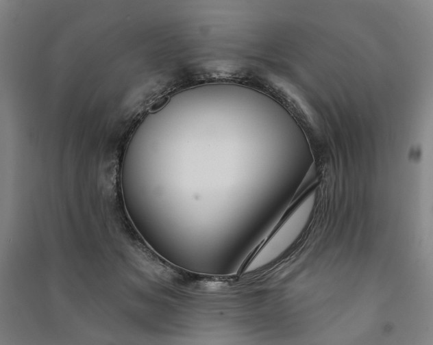 X0000090950509200708161758