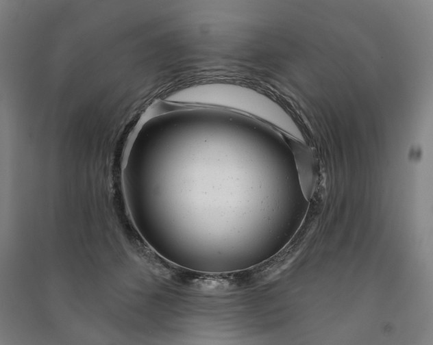 X0000090950512200708161758