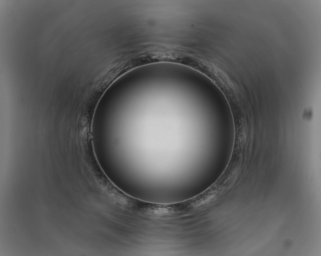 X0000090950513200708161758