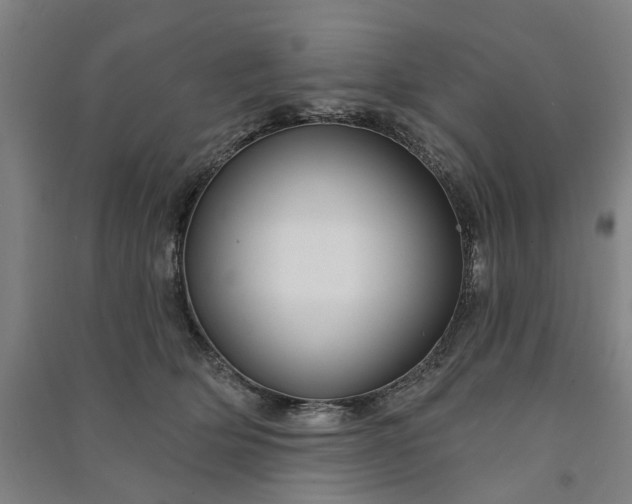 X0000090950514200708161758