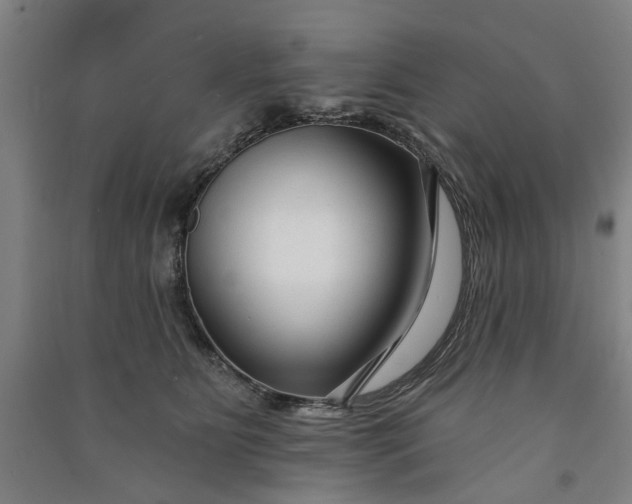 X0000090950515200708161758