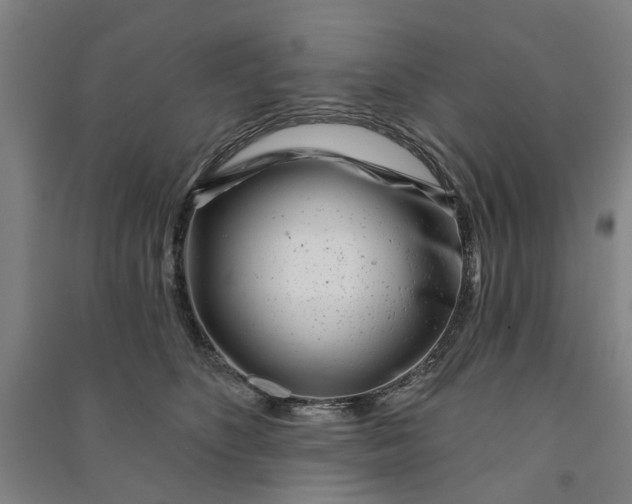 X0000090950516200708161758