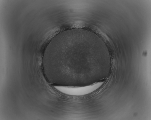 X0000090950517200708161758