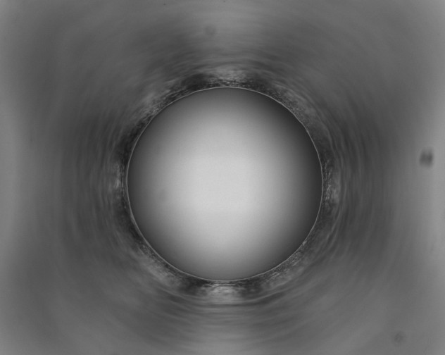 X0000090950518200708161758