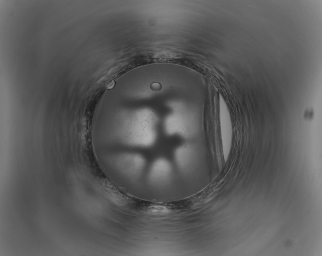 X0000090950519200708161758