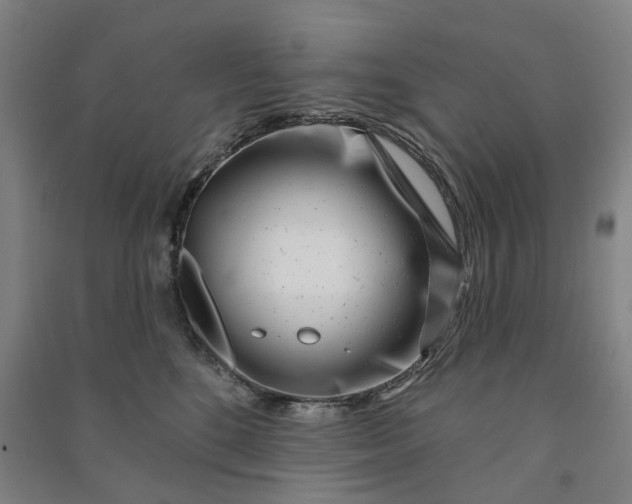 X0000090950520200708161758
