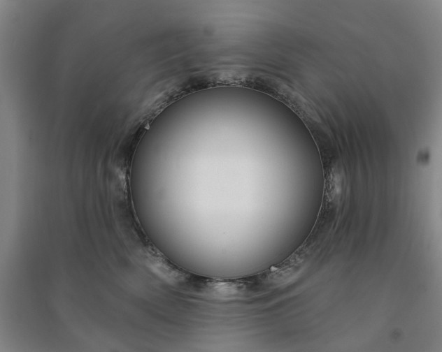 X0000090950522200708161758
