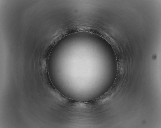 X0000090950523200708161758