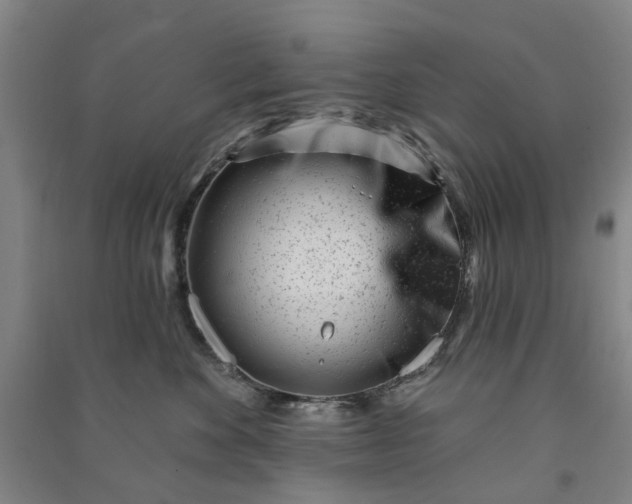 X0000090950524200708161758