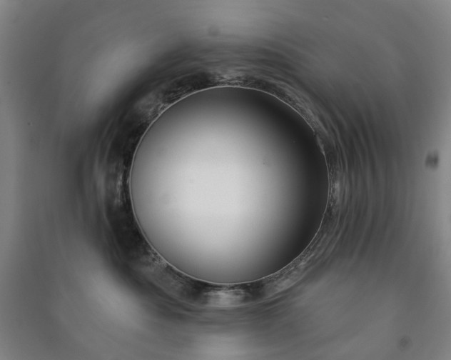 X0000090950525200708161758