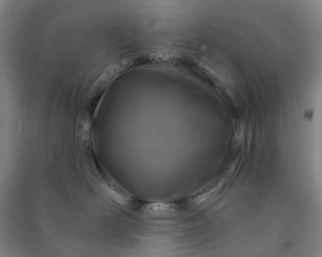 X0000090950526200708161758