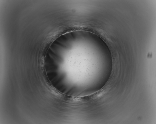 X0000090950528200708161758