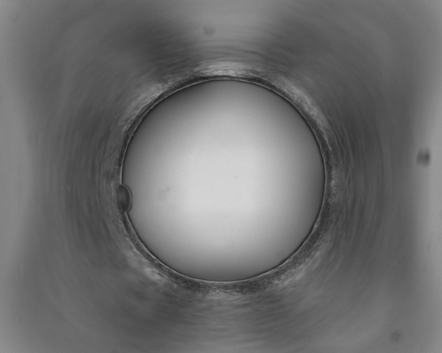 X0000090950529200708161758