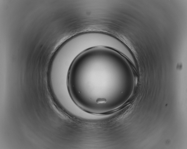 X0000090950530200708161758