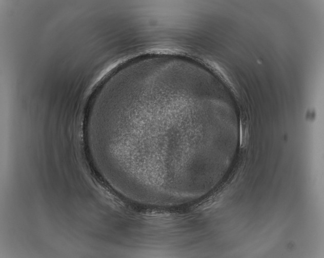 X0000090950531200708161758