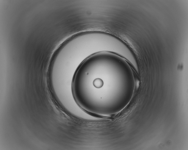 X0000090950532200708161758