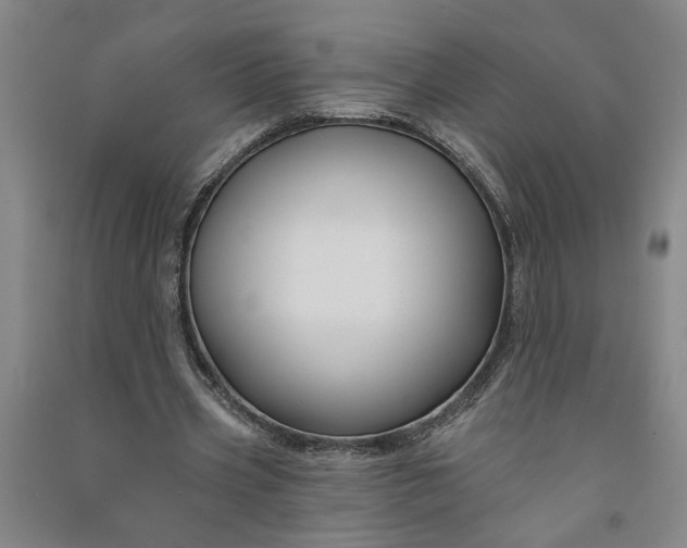 X0000090950533200708161758