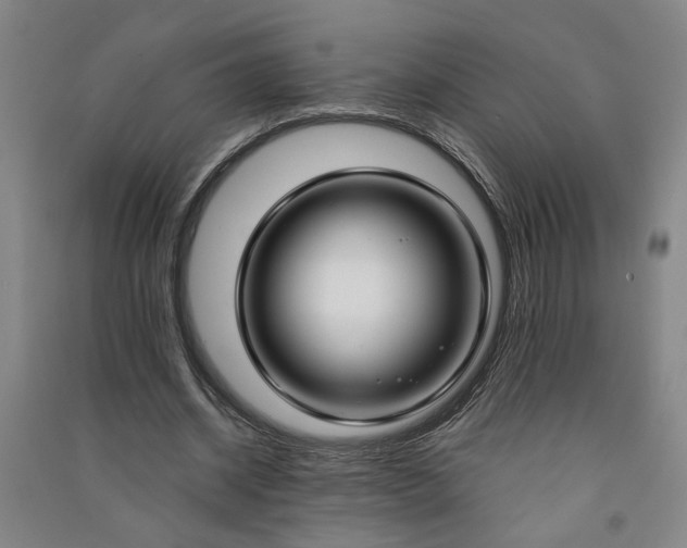 X0000090950534200708161758