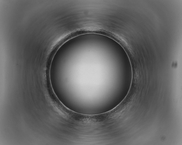 X0000090950535200708161758