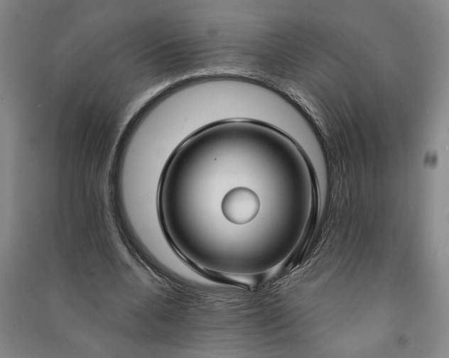 X0000090950536200708161758