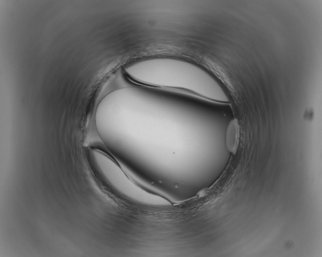 X0000090950538200708161758